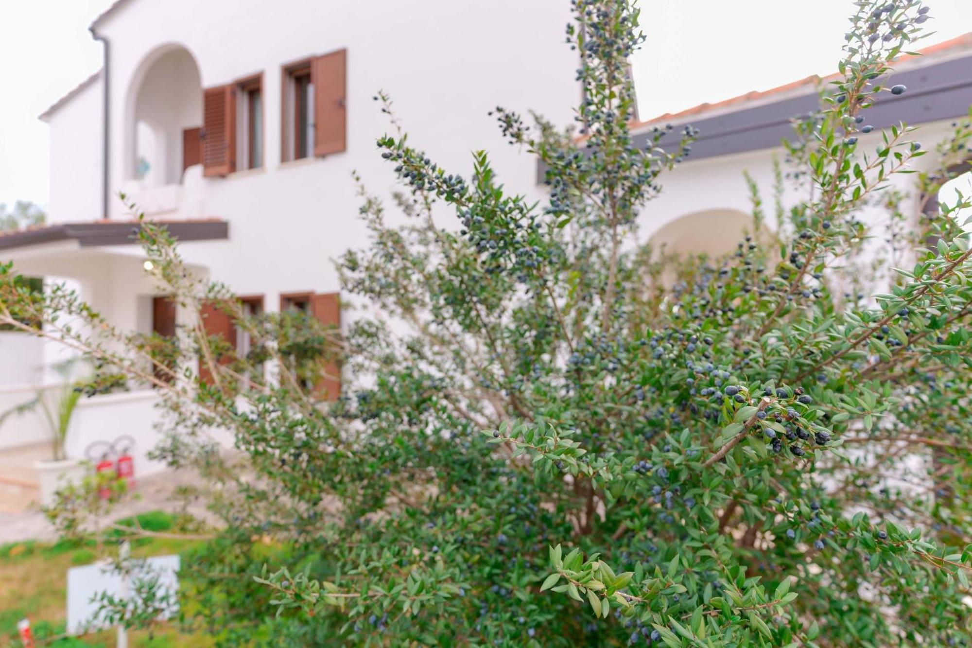 Villa Wunjo Iun R3267 La Maddalena  المظهر الخارجي الصورة